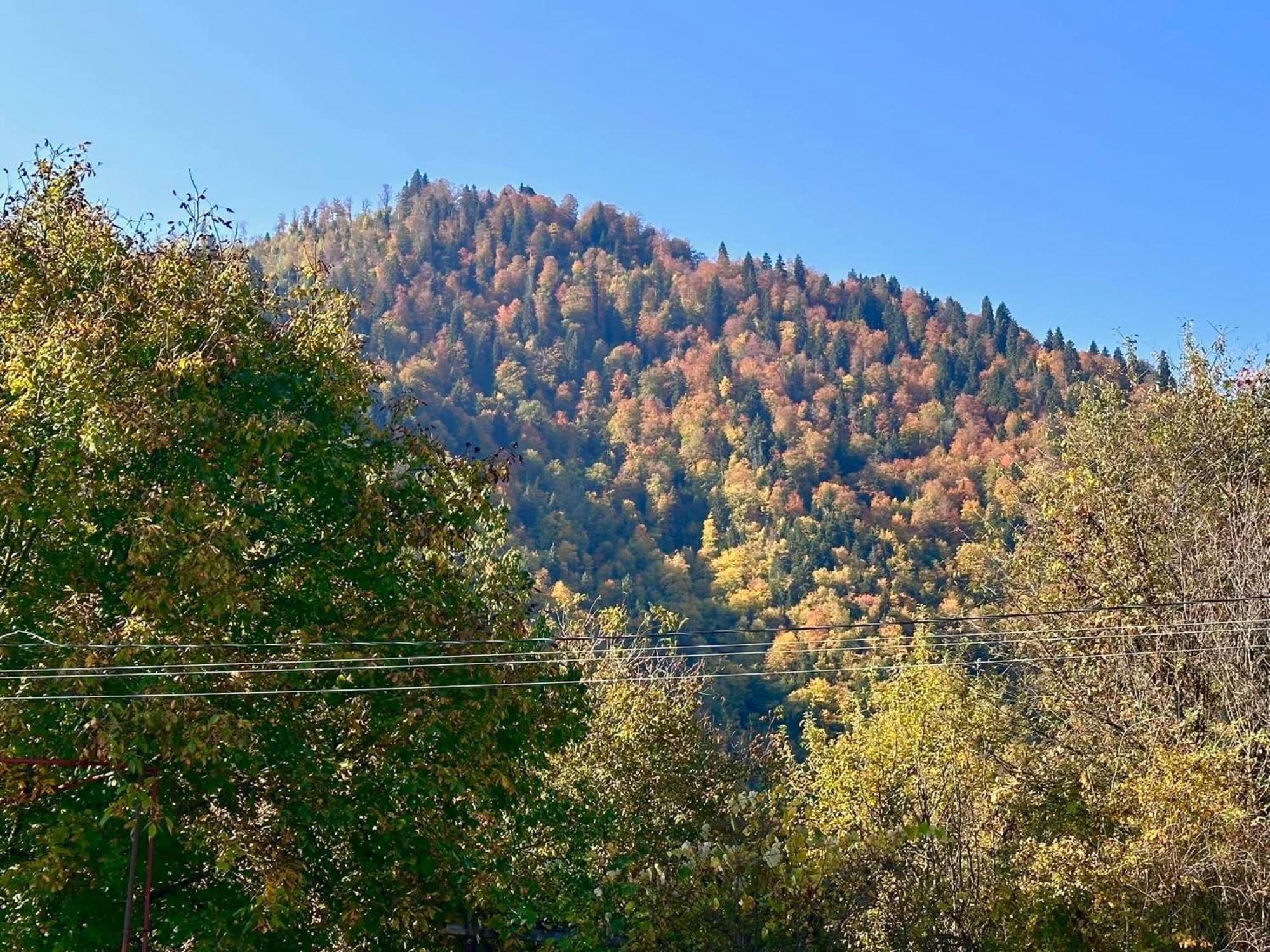 Mountain House Apartment Borjomi Exterior photo